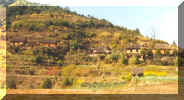 Village