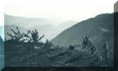 hills