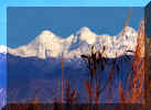Ganesh Himal View